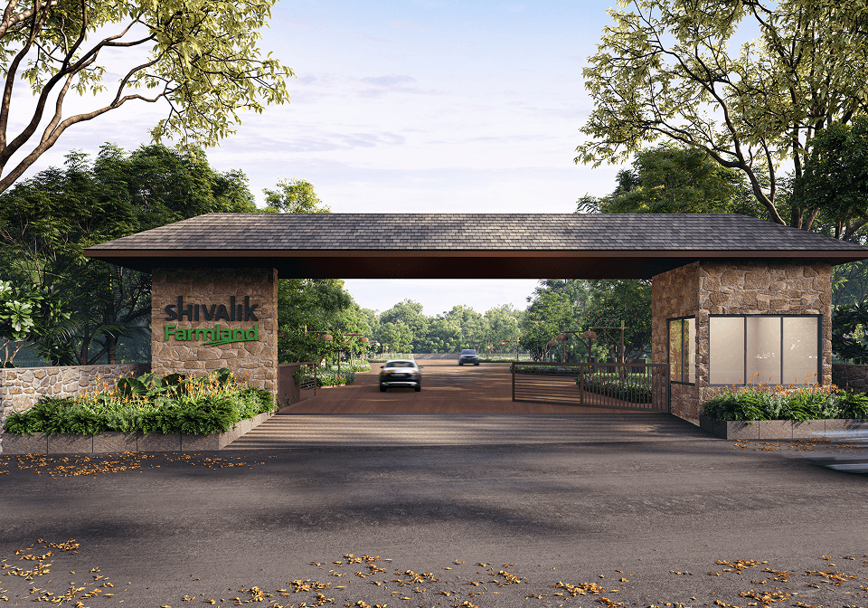 Meaningful Ownership